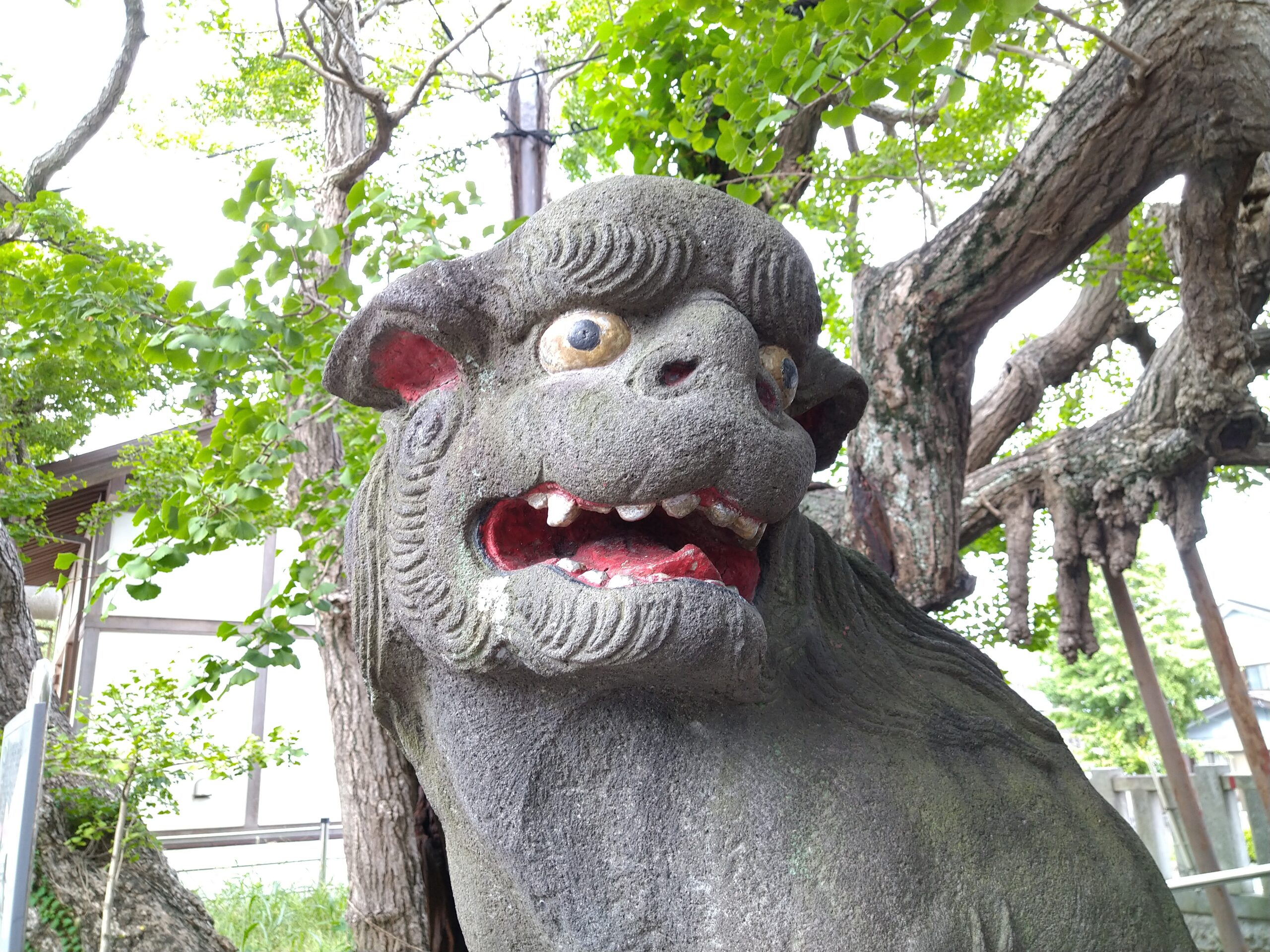 狛犬神社 Komainu & Shrine – ページ 2 – 狛犬（こまいぬ）大好きで