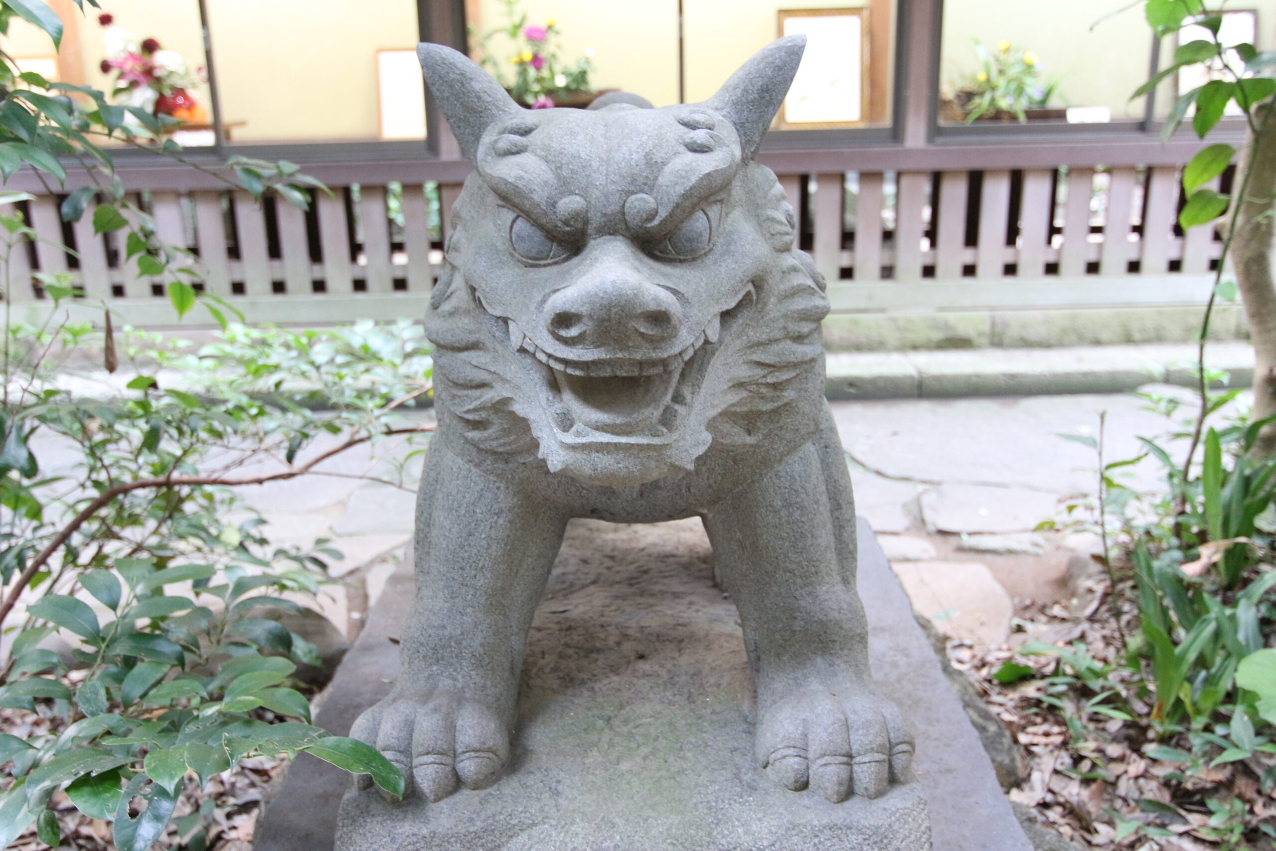 狛犬神社 Komainu u0026 Shrine – 狛犬（こまいぬ）大好きで神社めぐりが大好き！このかわいさを世界に発信したい！Ilove Komainu  and Shrine.Komainu is so cute.I would like to sharing to you.